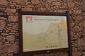 Kanary_2010 208